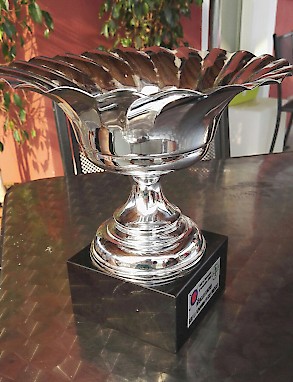 <?$img->description?>